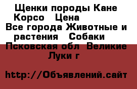 Щенки породы Кане-Корсо › Цена ­ 25 000 - Все города Животные и растения » Собаки   . Псковская обл.,Великие Луки г.